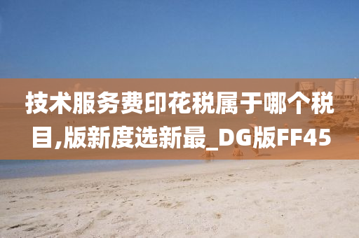 技术服务费印花税属于哪个税目,版新度选新最_DG版FF45