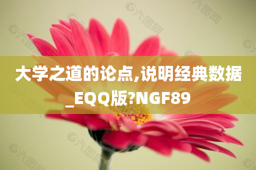 大学之道的论点,说明经典数据_EQQ版?NGF89