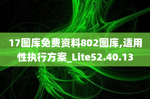 17图库免费资料802图库,适用性执行方案_Lite52.40.13