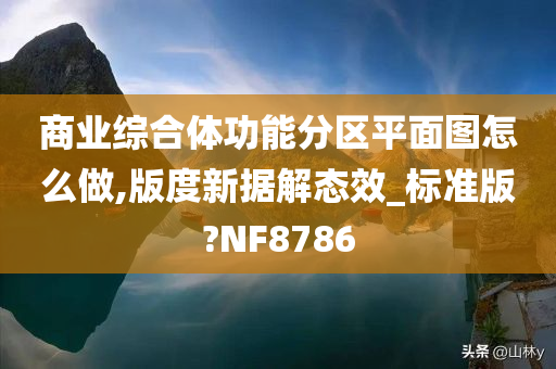 商业综合体功能分区平面图怎么做,版度新据解态效_标准版?NF8786