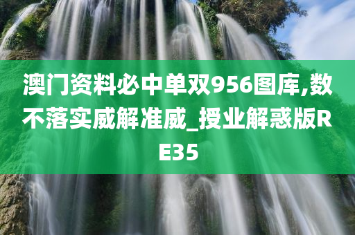 澳门资料必中单双956图库,数不落实威解准威_授业解惑版RE35