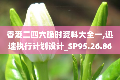 香港二四六确时资料大全一,迅速执行计划设计_SP95.26.86