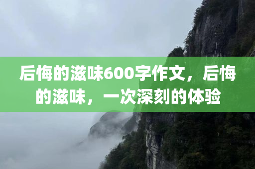 后悔的滋味600字作文，后悔的滋味，一次深刻的体验