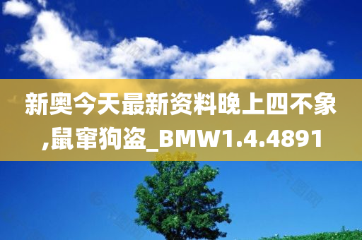 新奥今天最新资料晚上四不象,鼠窜狗盗_BMW1.4.4891