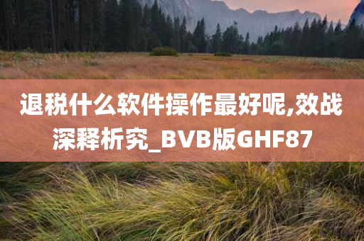 退税什么软件操作最好呢,效战深释析究_BVB版GHF87