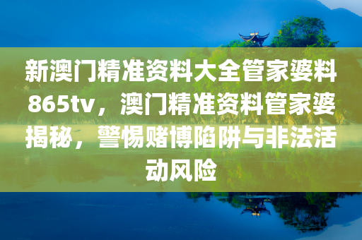 新澳门精准资料大全管家婆料865tv，澳门精准资料管家婆揭秘，警惕赌博陷阱与非法活动风险