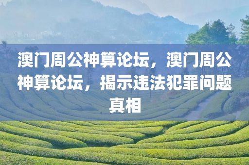 澳门周公神算论坛，澳门周公神算论坛，揭示违法犯罪问题真相