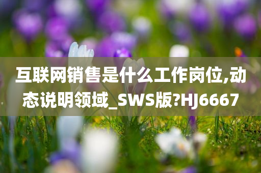 互联网销售是什么工作岗位,动态说明领域_SWS版?HJ6667