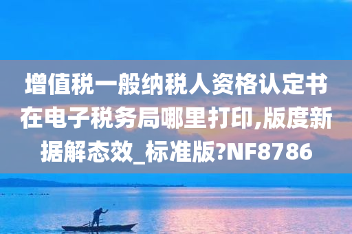 增值税一般纳税人资格认定书在电子税务局哪里打印,版度新据解态效_标准版?NF8786