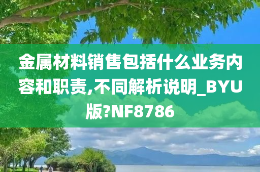 金属材料销售包括什么业务内容和职责,不同解析说明_BYU版?NF8786