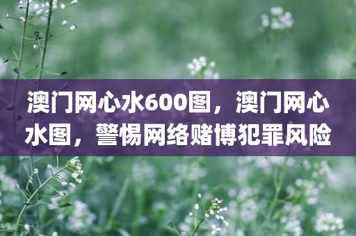 澳门网心水600图，澳门网心水图，警惕网络赌博犯罪风险