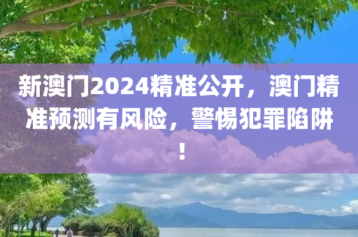 新澳门2024精准公开，澳门精准预测有风险，警惕犯罪陷阱！