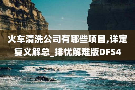 火车清洗公司有哪些项目,详定复义解总_排忧解难版DFS4