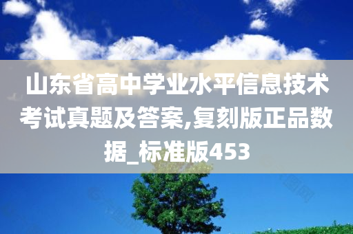 山东省高中学业水平信息技术考试真题及答案,复刻版正品数据_标准版453