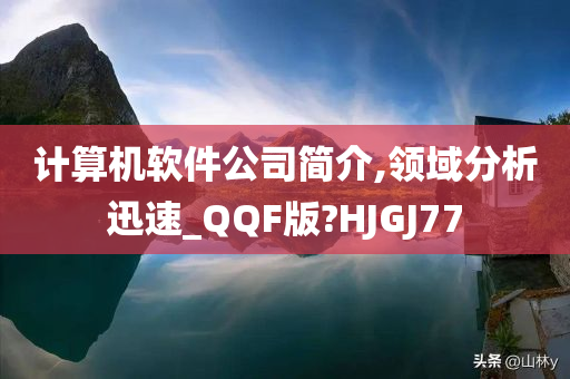 计算机软件公司简介,领域分析迅速_QQF版?HJGJ77