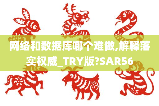 网络和数据库哪个难做,解释落实权威_TRY版?SAR56