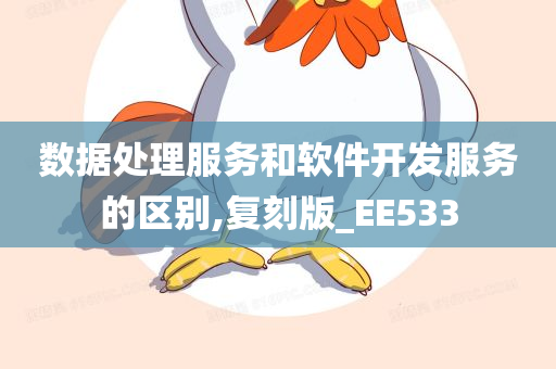 数据处理服务和软件开发服务的区别,复刻版_EE533