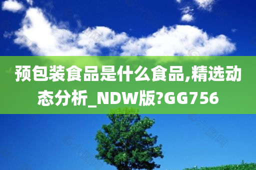 预包装食品是什么食品,精选动态分析_NDW版?GG756