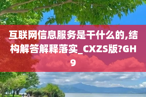 互联网信息服务是干什么的,结构解答解释落实_CXZS版?GH9