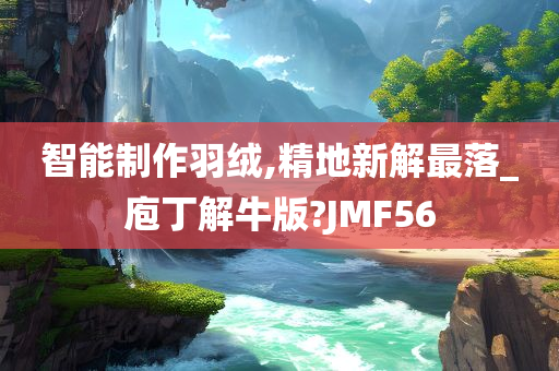 智能制作羽绒,精地新解最落_庖丁解牛版?JMF56