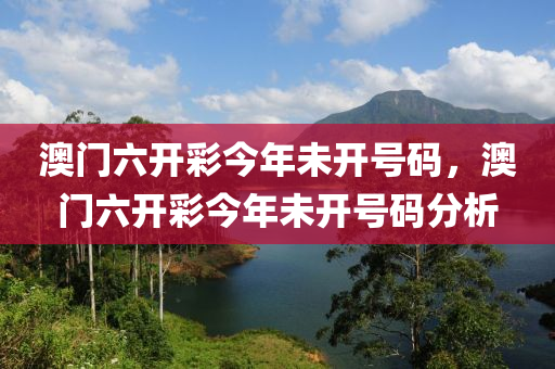 澳门六开彩今年未开号码，澳门六开彩今年未开号码分析