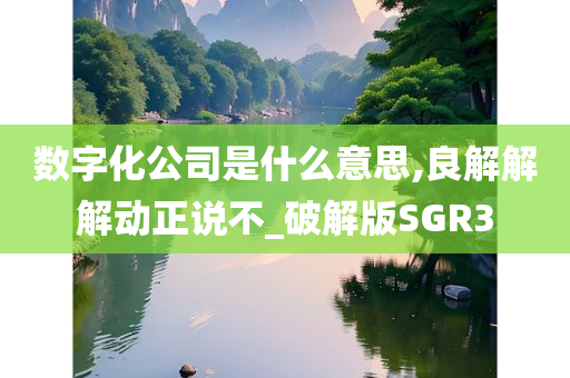 数字化公司是什么意思,良解解解动正说不_破解版SGR3