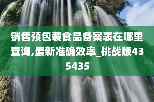 销售预包装食品备案表在哪里查询,最新准确效率_挑战版435435