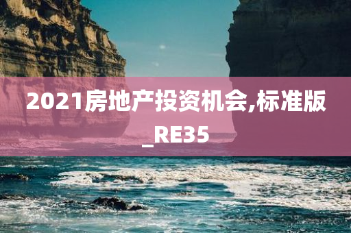 2021房地产投资机会,标准版_RE35