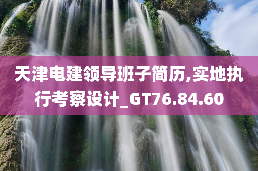 天津电建领导班子简历,实地执行考察设计_GT76.84.60