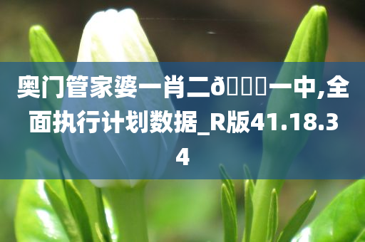 奥门管家婆一肖二??一中,全面执行计划数据_R版41.18.34