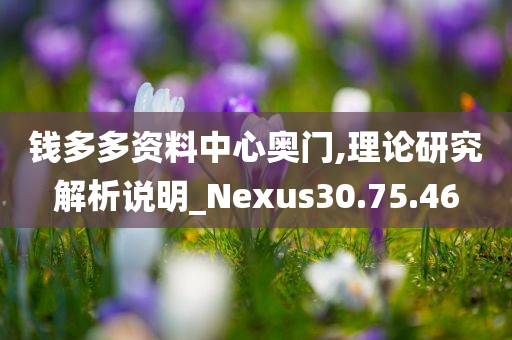 钱多多资料中心奥门,理论研究解析说明_Nexus30.75.46