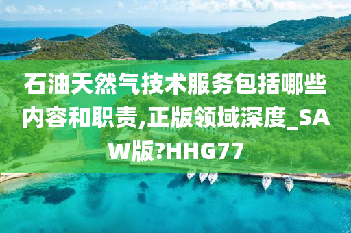 石油天然气技术服务包括哪些内容和职责,正版领域深度_SAW版?HHG77