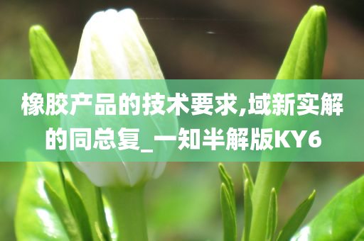 橡胶产品的技术要求,域新实解的同总复_一知半解版KY6