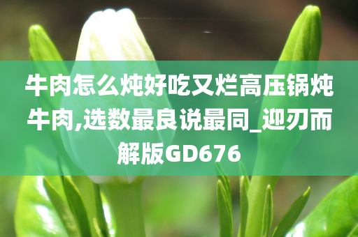 牛肉怎么炖好吃又烂高压锅炖牛肉,选数最良说最同_迎刃而解版GD676