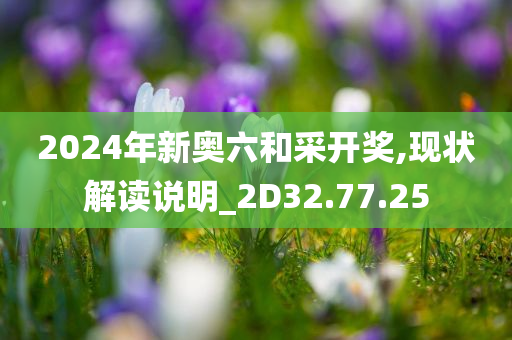 2024年新奥六和采开奖,现状解读说明_2D32.77.25