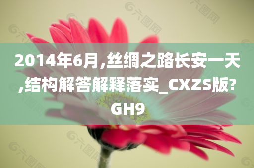 2014年6月,丝绸之路长安一天,结构解答解释落实_CXZS版?GH9