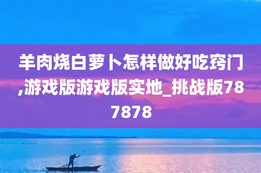 羊肉烧白萝卜怎样做好吃窍门,游戏版游戏版实地_挑战版787878