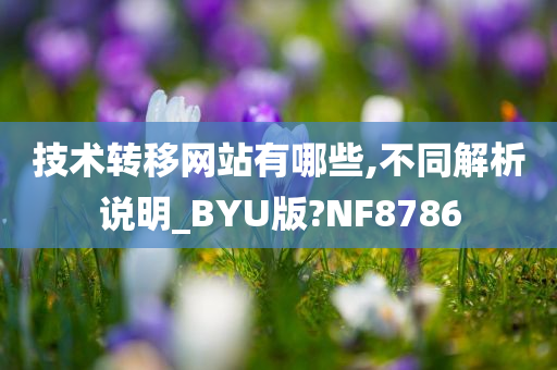 技术转移网站有哪些,不同解析说明_BYU版?NF8786