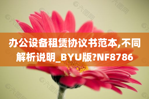 办公设备租赁协议书范本,不同解析说明_BYU版?NF8786