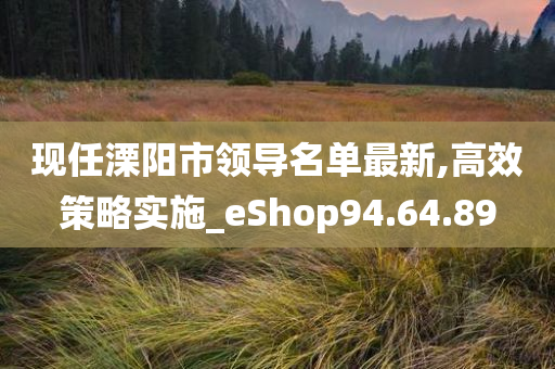 现任溧阳市领导名单最新,高效策略实施_eShop94.64.89