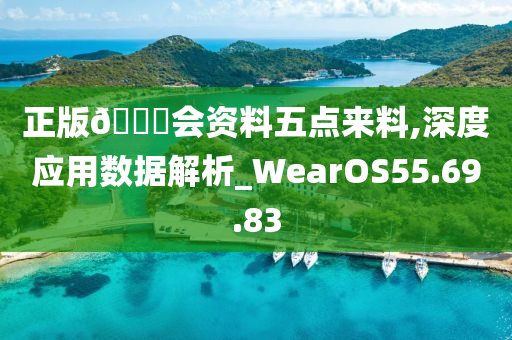 正版??会资料五点来料,深度应用数据解析_WearOS55.69.83