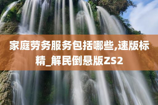 家庭劳务服务包括哪些,速版标精_解民倒悬版ZS2