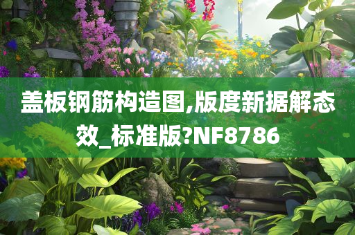 盖板钢筋构造图,版度新据解态效_标准版?NF8786