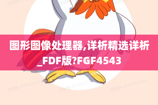 图形图像处理器,详析精选详析_FDF版?FGF4543