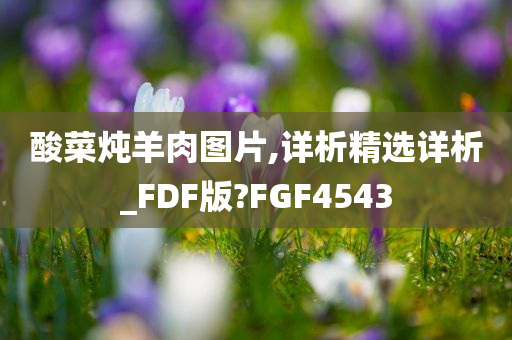 酸菜炖羊肉图片,详析精选详析_FDF版?FGF4543