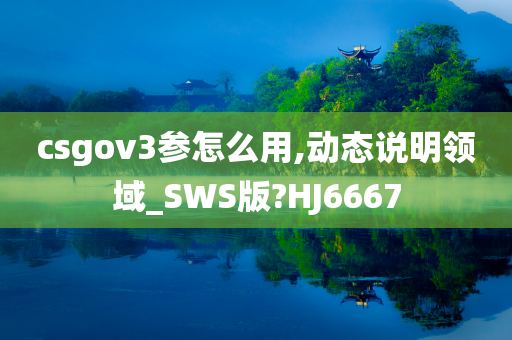 csgov3参怎么用,动态说明领域_SWS版?HJ6667