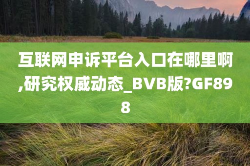 互联网申诉平台入口在哪里啊,研究权威动态_BVB版?GF898