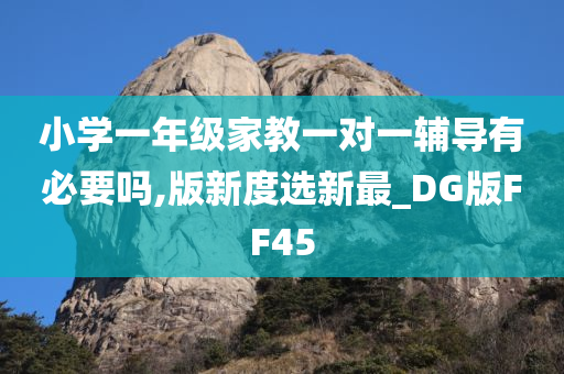 小学一年级家教一对一辅导有必要吗,版新度选新最_DG版FF45