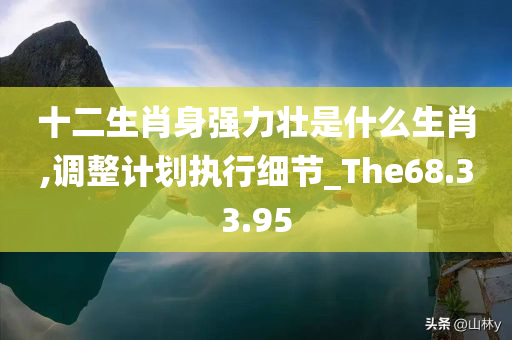 十二生肖身强力壮是什么生肖,调整计划执行细节_The68.33.95