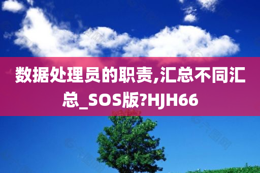 数据处理员的职责,汇总不同汇总_SOS版?HJH66